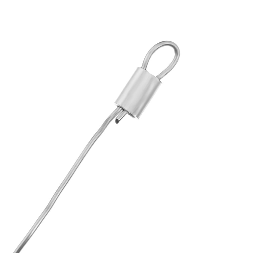 100PCs/Lot  0.8mm/1.0mm/1.2mm/ - Saltwater Line incelemesi ve fiyatı