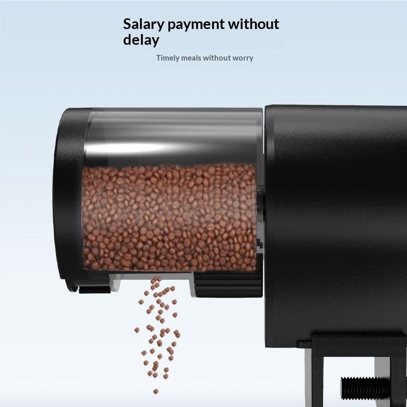Automatic Fish Feeder With Tim - Fishing Line Dispenser incelemesi ve fiyatı